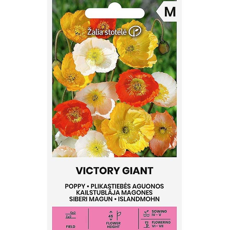 Poppy 'Victory Giant'