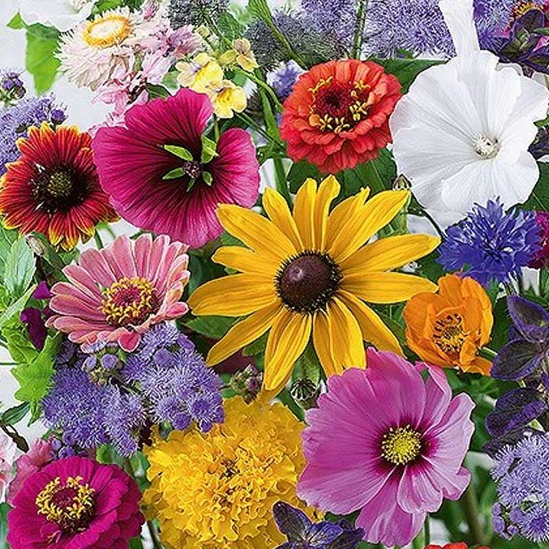 Flower Mix 'Last Minute'