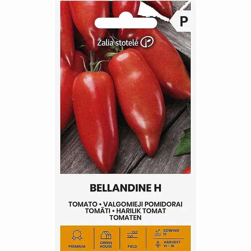 Tomato 'Belandine' H